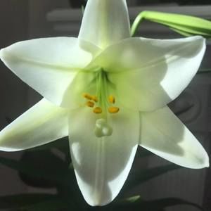 Meet your Posher, Jean